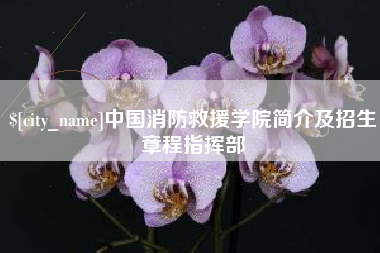 阿坝中国消防救援学院简介及招生章程指挥部