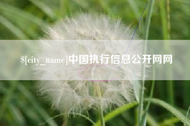 阿坝中国执行信息公开网网
