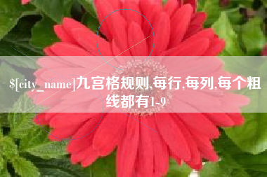 阿坝九宫格规则,每行,每列,每个粗线都有1-9