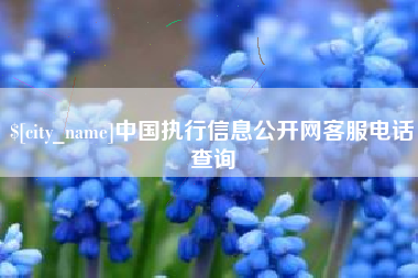 阿坝中国执行信息公开网客服电话查询