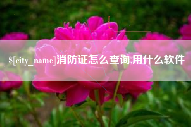 阿坝消防证怎么查询,用什么软件