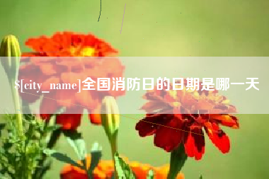 阿坝全国消防日的日期是哪一天