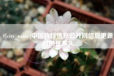阿坝中国执行信息公开网信息更新时间是多久
