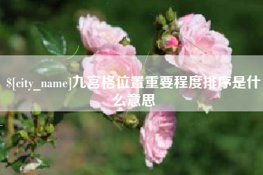 阿坝九宫格位置重要程度排序是什么意思