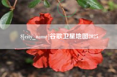 阿坝谷歌卫星地图2025