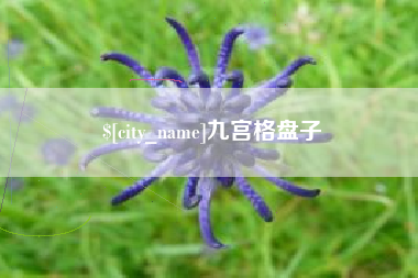 阿坝九宫格盘子