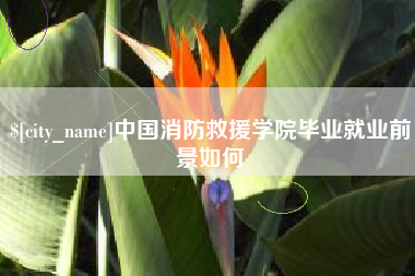 阿坝中国消防救援学院毕业就业前景如何