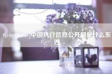 阿坝中国执行信息公开网是什么东西