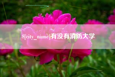 阿坝有没有消防大学