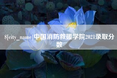 阿坝中国消防救援学院2021录取分数