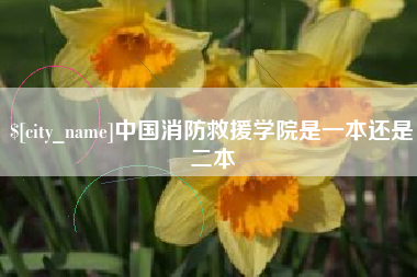 阿坝中国消防救援学院是一本还是二本