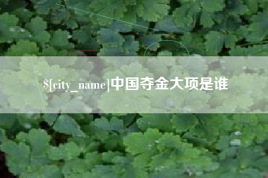 阿坝中国夺金大项是谁