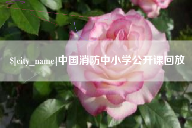 阿坝中国消防中小学公开课回放