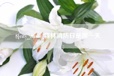 阿坝森林消防日是哪一天