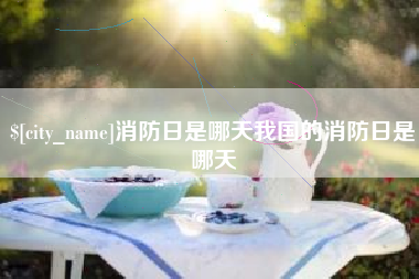 阿坝消防日是哪天我国的消防日是哪天
