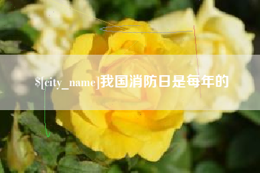 阿坝我国消防日是每年的