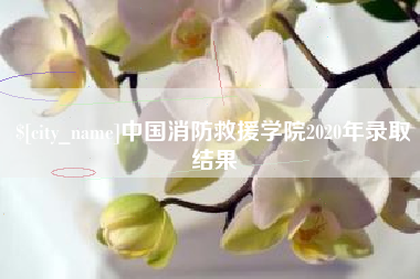 阿坝中国消防救援学院2020年录取结果