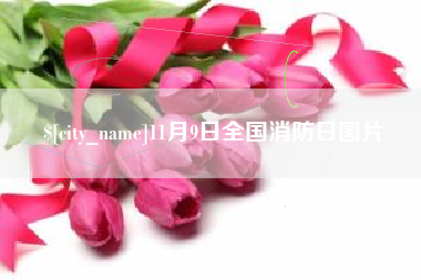 阿坝11月9日全国消防日图片