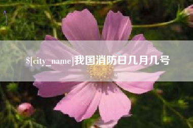 阿坝我国消防日几月几号
