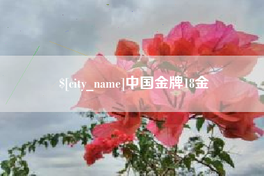 阿坝中国金牌18金