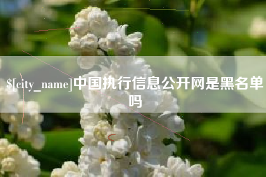 阿坝中国执行信息公开网是黑名单吗