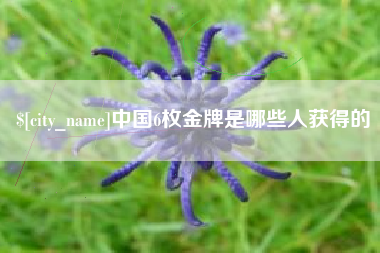 阿坝中国6枚金牌是哪些人获得的