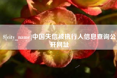 阿坝中国失信被执行人信息查询公开网址