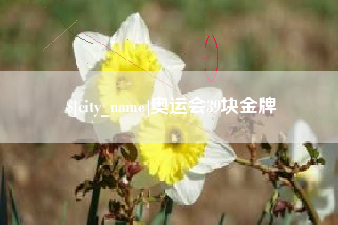 阿坝奥运会39块金牌