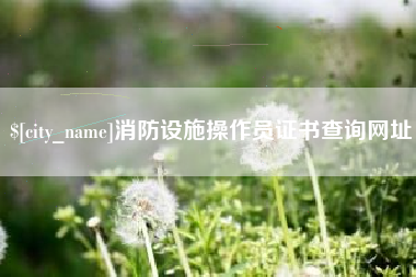 阿坝消防设施操作员证书查询网址
