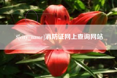 阿坝消防证网上查询网站