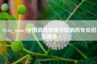 阿坝中国消防救援学院消防专业招生简章