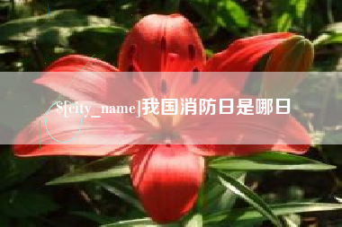 阿坝我国消防日是哪日
