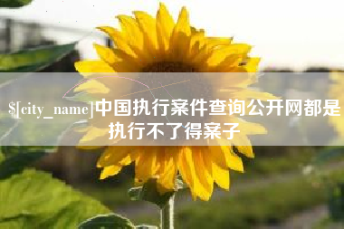 阿坝中国执行案件查询公开网都是执行不了得案子