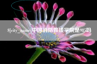 阿坝中国消防救援学院是985吗