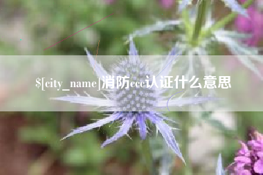 阿坝消防ccc认证什么意思