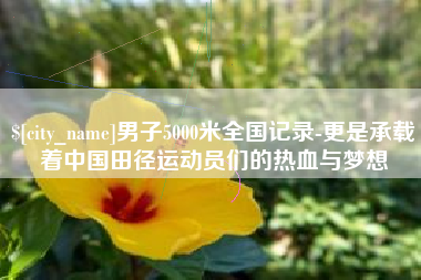 阿坝男子5000米全国记录-更是承载着中国田径运动员们的热血与梦想