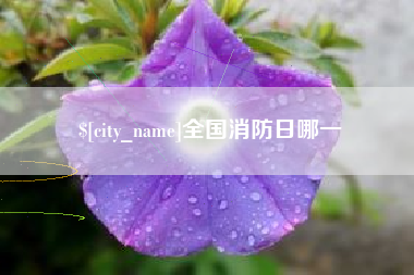 阿坝全国消防日哪一