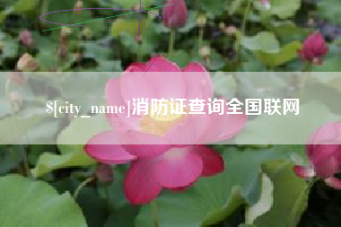 阿坝消防证查询全国联网