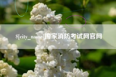 阿坝国家消防考试网官网