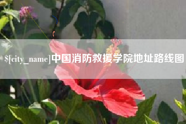 阿坝中国消防救援学院地址路线图