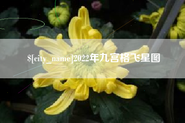 阿坝2022年九宫格飞星图