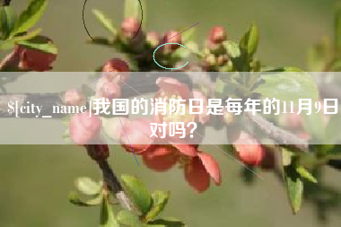 阿坝我国的消防日是每年的11月9日对吗？