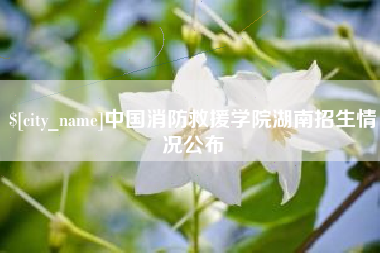 阿坝中国消防救援学院湖南招生情况公布