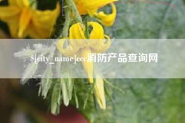 阿坝ccc消防产品查询网