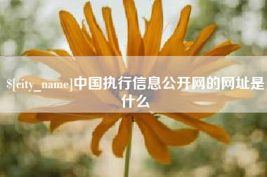 阿坝中国执行信息公开网的网址是什么
