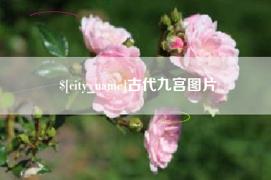 阿坝古代九宫图片
