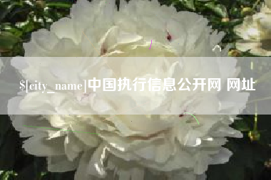 阿坝中国执行信息公开网 网址