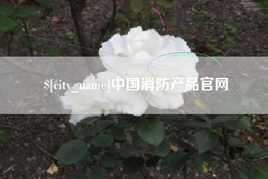 阿坝中国消防产品官网