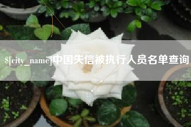 阿坝中国失信被执行人员名单查询