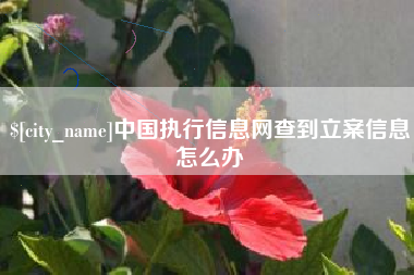 阿坝中国执行信息网查到立案信息怎么办
